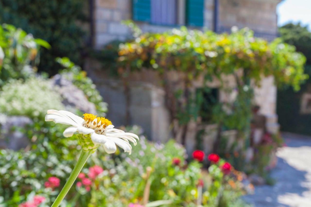 Holiday Home Lavanda Grubisic Tučepi エクステリア 写真