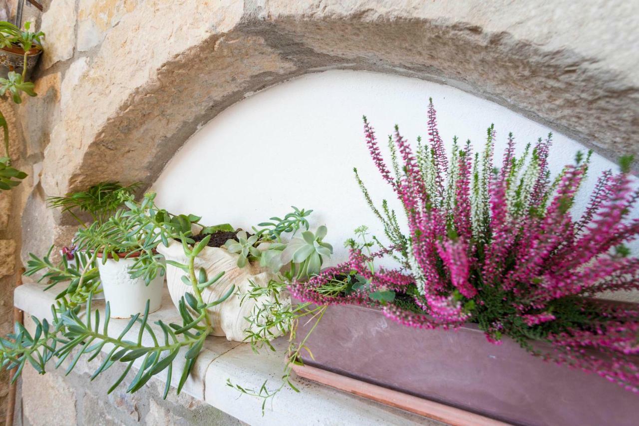 Holiday Home Lavanda Grubisic Tučepi エクステリア 写真
