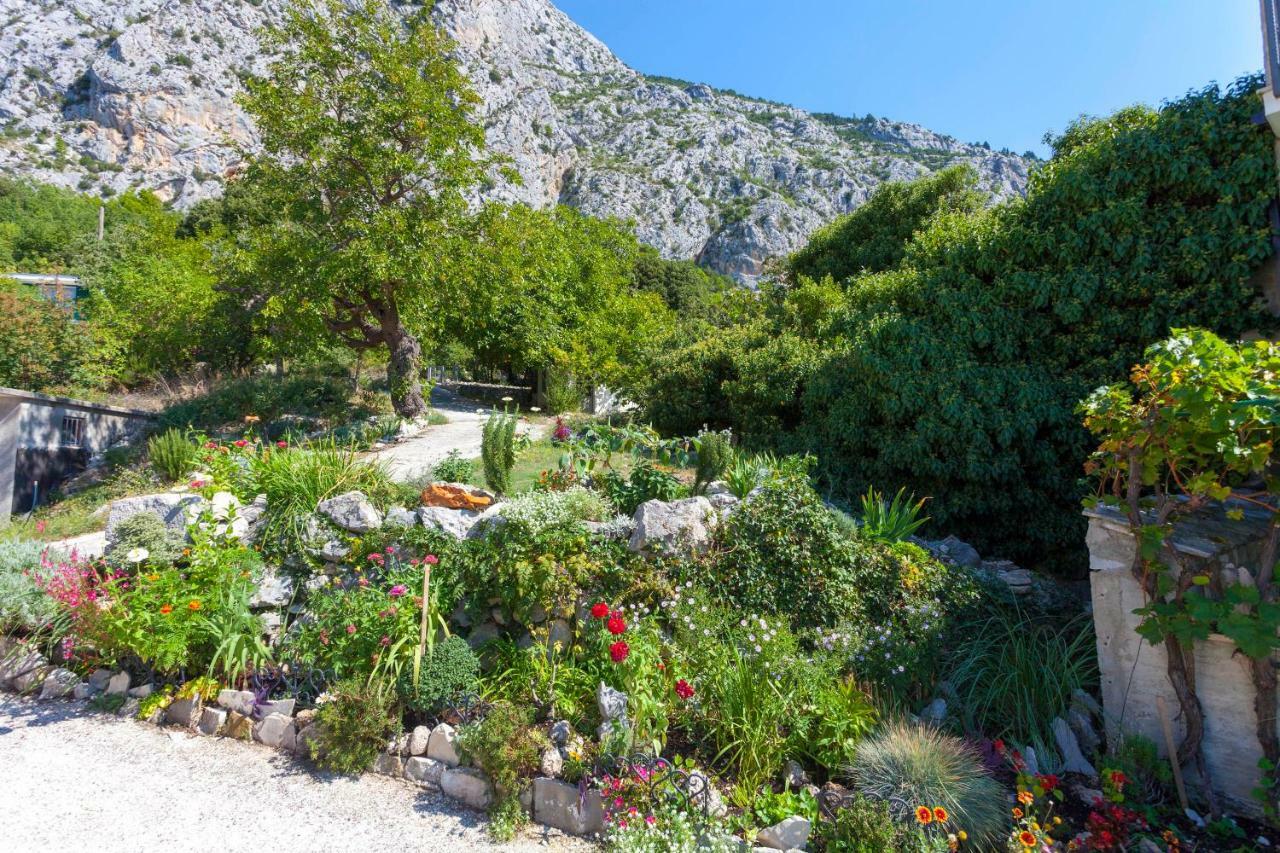 Holiday Home Lavanda Grubisic Tučepi エクステリア 写真